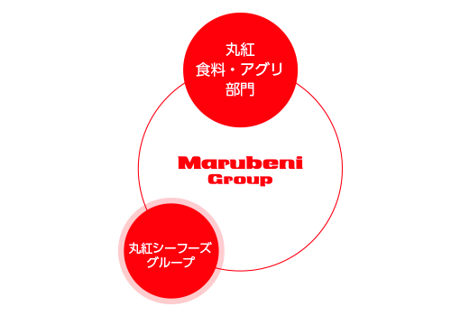 丸紅グループネットワーク