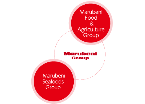 Marubeni Group Network